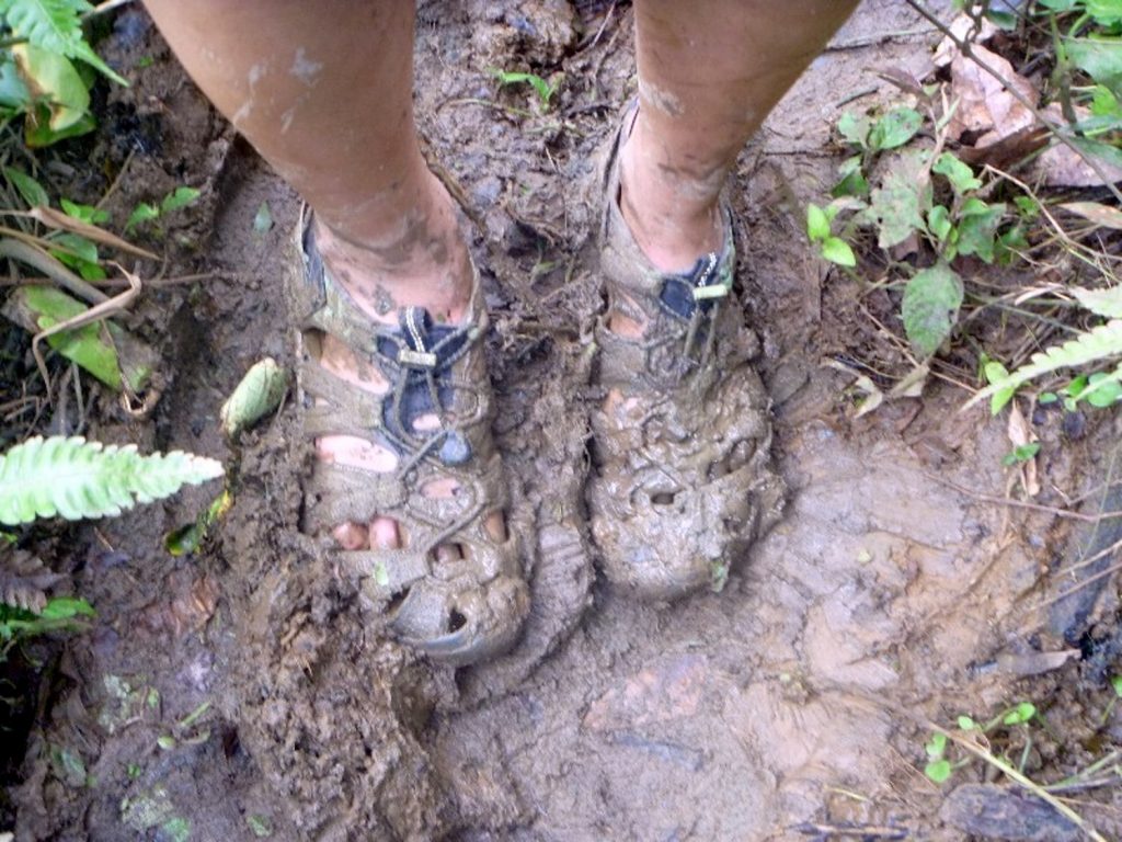 Mud and dirty shoes