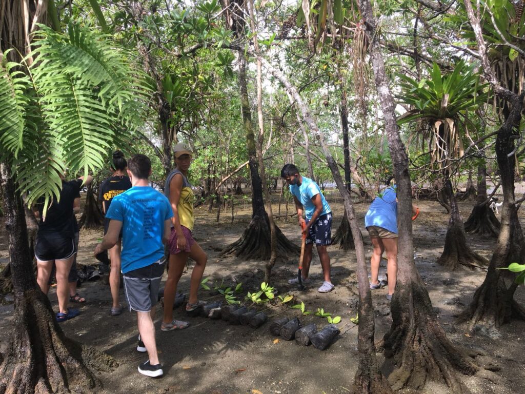 A group of volunteers helping place plants