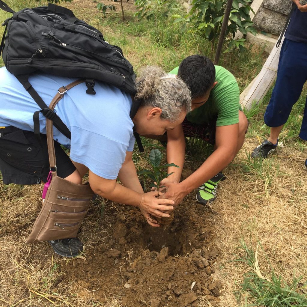 People helping place a plant