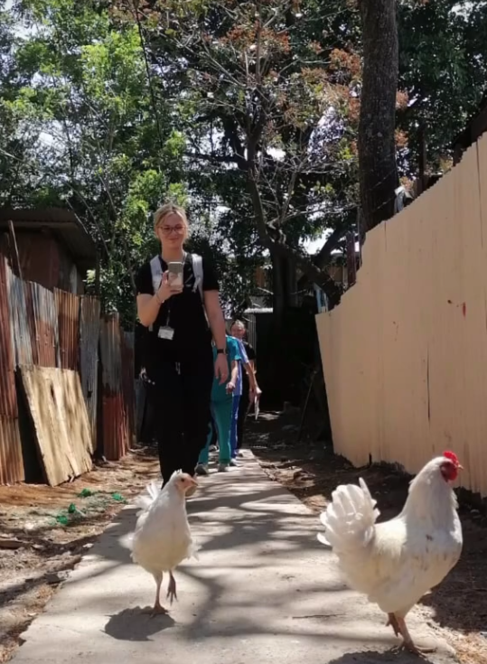 Volunteers walking with some chickens in the foreground