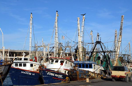 Mexico fishing boats