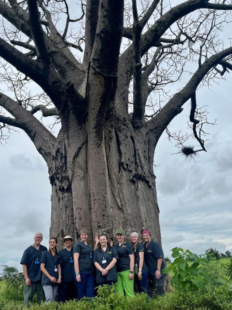 Group of volunteers standing next to large tree in Tanzania